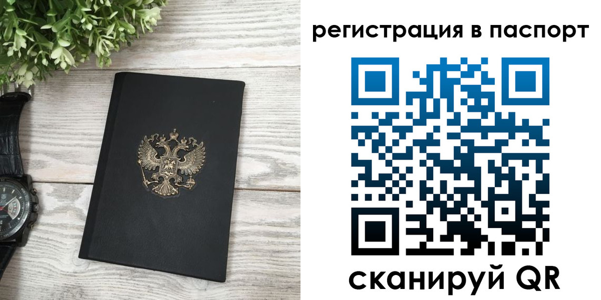 прописка в Вязьме